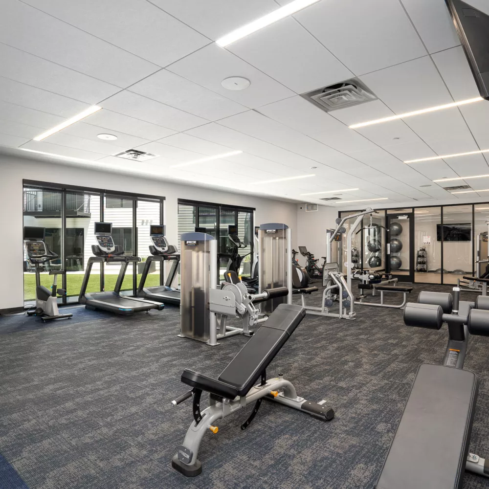 Empty, modern gym with cardio and weightlifting equipment, blue carpet, and large windows looking outside.